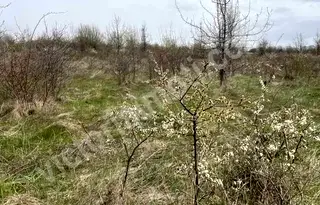 Парцел във Велико Търново, с. Арбанаси