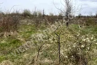 Парцел във Велико Търново, с. Арбанаси