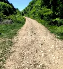 Парцел във Велико Търново, с. Арбанаси