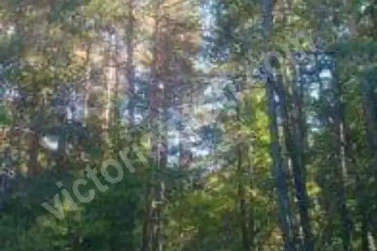 Plot in Oblast Veliko Tyrnovo, Arbanasi