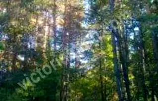 Парцел във Велико Търново, с. Арбанаси
