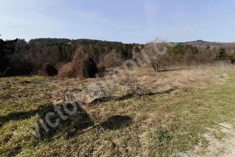 Plot in Oblast Veliko Tyrnovo, Arbanasi