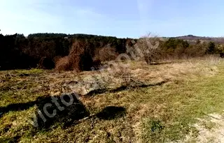 Парцел във Велико Търново, с. Арбанаси