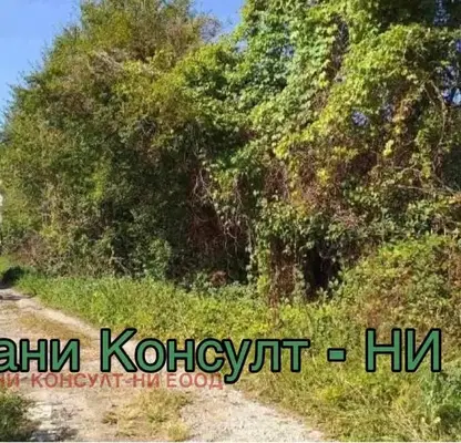 Photo 2 — Plot in Oblast Veliko Tyrnovo, Badevci