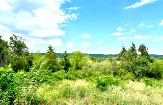 Парцел във Велико Търново, с. Балван