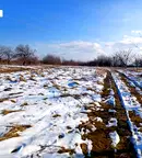 Парцел във Велико Търново, с. Беляковец