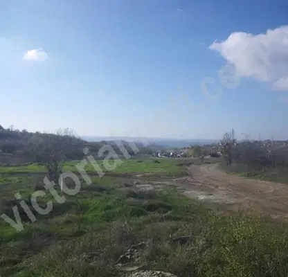 Photo 2 — Plot in Oblast Veliko Tyrnovo, Belyakovec