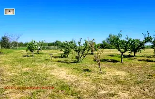 Парцел във Велико Търново, с. Беляковец