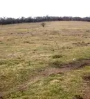 Парцел във Велико Търново, с. Беляковец