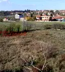 Парцел във Велико Търново, с. Беляковец