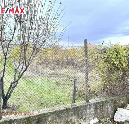 Снимка 4 — Парцел във Велико Търново, с. Беляковец