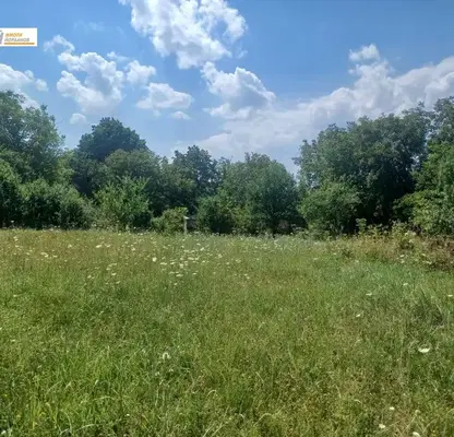 Photo 2 — Plot in Oblast Veliko Tyrnovo, Blyskovci