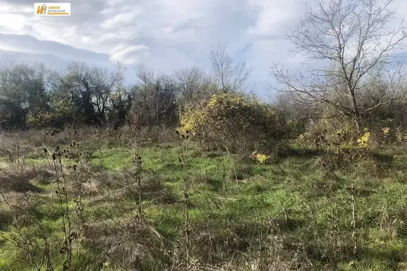 Plot in Oblast Veliko Tyrnovo, Cerova Koriya
