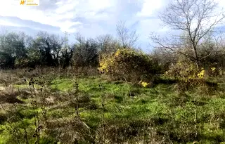 Парцел във Велико Търново, с. Церова кория