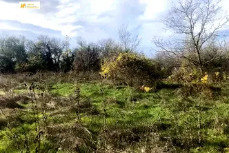 Парцел във Велико Търново, с. Церова кория