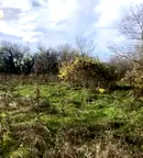 Парцел във Велико Търново, с. Церова кория