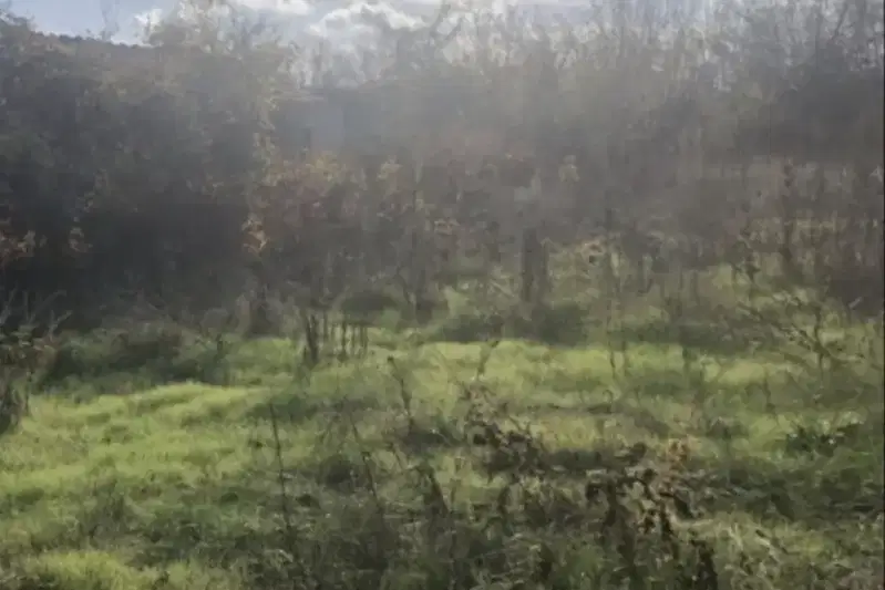 Plot in Oblast Veliko Tyrnovo, Cerova Koriya