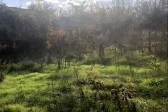 Парцел във Велико Търново, с. Церова кория