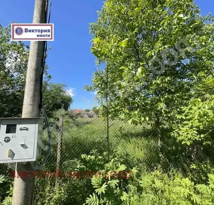 Photo 4 — Plot in Oblast Veliko Tyrnovo, Cerova Koriya