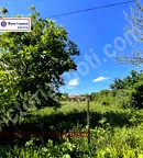 Парцел във Велико Търново, с. Церова кория
