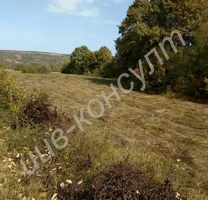 Photo 4 — Plot in Oblast Veliko Tyrnovo, Chakali