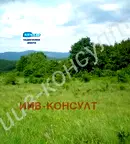 Парцел във Велико Търново, с. Чакали