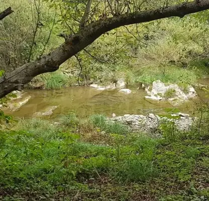 Photo 2 — Plot in Oblast Veliko Tyrnovo, Dedina