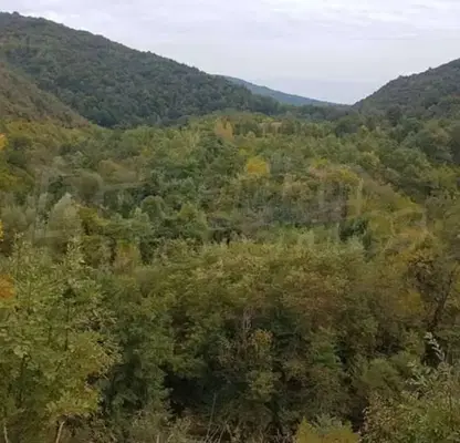 Photo 4 — Plot in Oblast Veliko Tyrnovo, Dedina