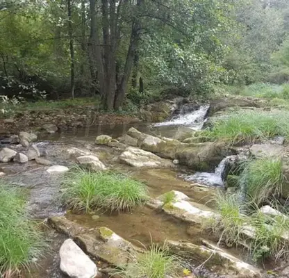 Photo 5 — Plot in Oblast Veliko Tyrnovo, Dedina