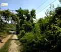 Снимка 3 — Парцел във Велико Търново, с. Джулюница