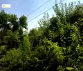 Снимка 4 — Парцел във Велико Търново, с. Джулюница
