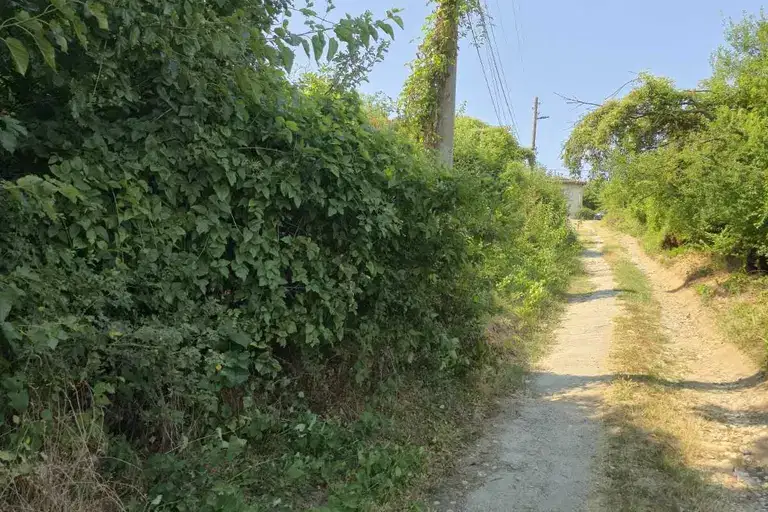 Plot in Oblast Veliko Tyrnovo, Djulyunica
