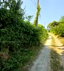 Парцел във Велико Търново, с. Джулюница