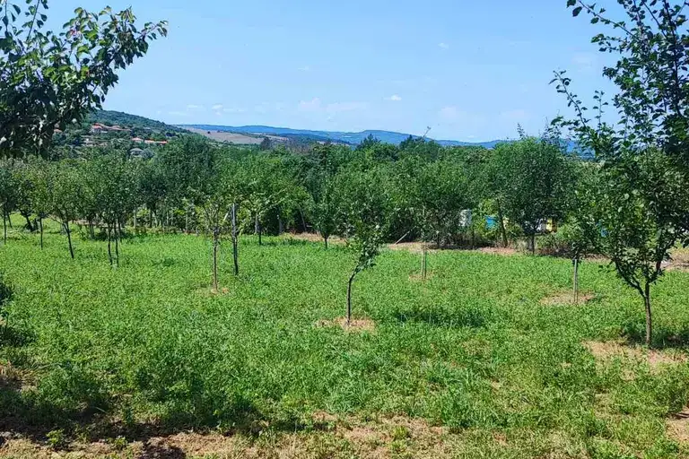 Парцел във Велико Търново, с. Добри дял