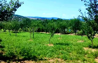 Парцел във Велико Търново, с. Добри дял