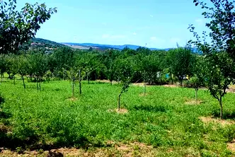 Парцел във Велико Търново, с. Добри дял