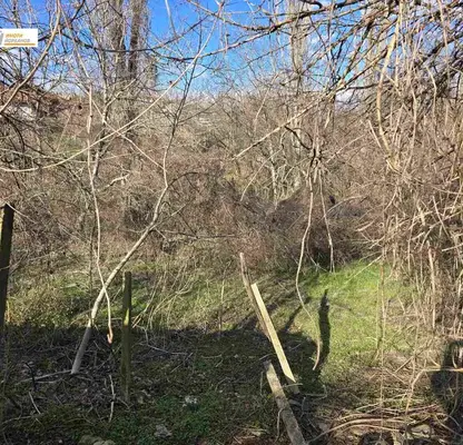 Photo 2 — Plot in Oblast Veliko Tyrnovo, Dragijevo