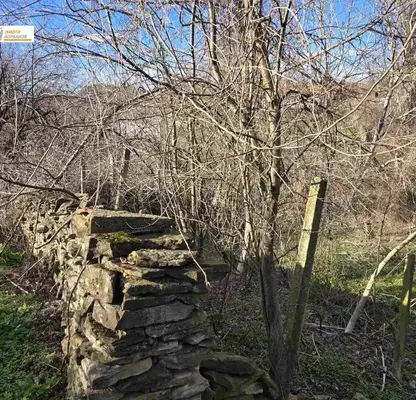 Photo 3 — Plot in Oblast Veliko Tyrnovo, Dragijevo
