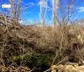 Снимка 4 — Парцел във Велико Търново, с. Драгижево
