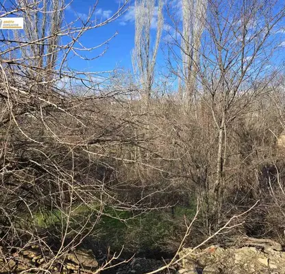 Photo 4 — Plot in Oblast Veliko Tyrnovo, Dragijevo