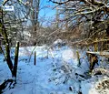 Снимка 2 — Парцел във Велико Търново, с. Драгижево