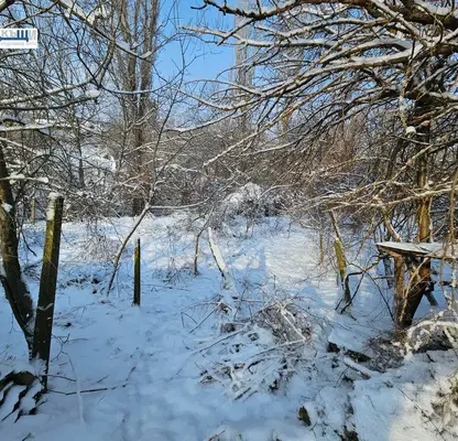 Photo 2 — Plot in Oblast Veliko Tyrnovo, Dragijevo