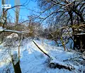 Снимка 4 — Парцел във Велико Търново, с. Драгижево