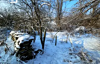 Парцел във Велико Търново, с. Драгижево