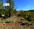 Снимка 4 — Парцел във Велико Търново, с. Габровци