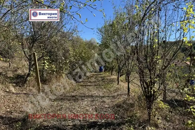Plot in Oblast Veliko Tyrnovo, Gabrovci