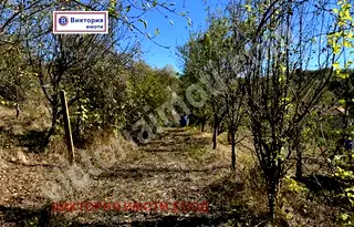 Парцел във Велико Търново, с. Габровци