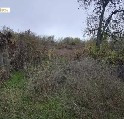 Снимка 4 — Парцел във Велико Търново, с. Горски горен Тръмбеш