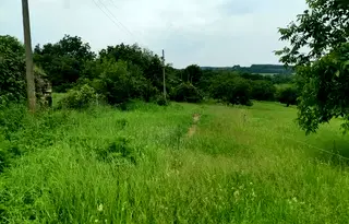 Парцел във Велико Търново, с. Горски горен Тръмбеш