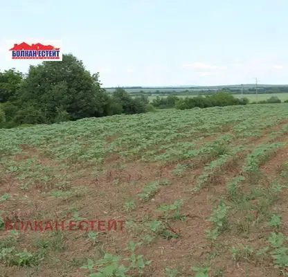 Снимка 4 — Парцел във Велико Търново, с. Хотница